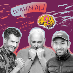 Darwin díj S05E03 - Az év színe