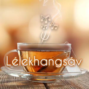 Lélekhangsáv - 11. Elbeszélve egymás mellett – Kommunikációs alaphelyzetek nehézségei