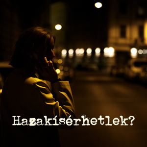 Hazakísérhetlek - 9. rész