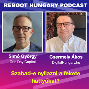 Reboot Hungary - 81. Szabad-e nyilazni a fekete hattyúkat? Beszélgetés Simó Györggyel. 